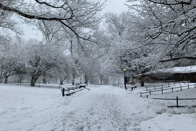 Snow blankets Central Park.